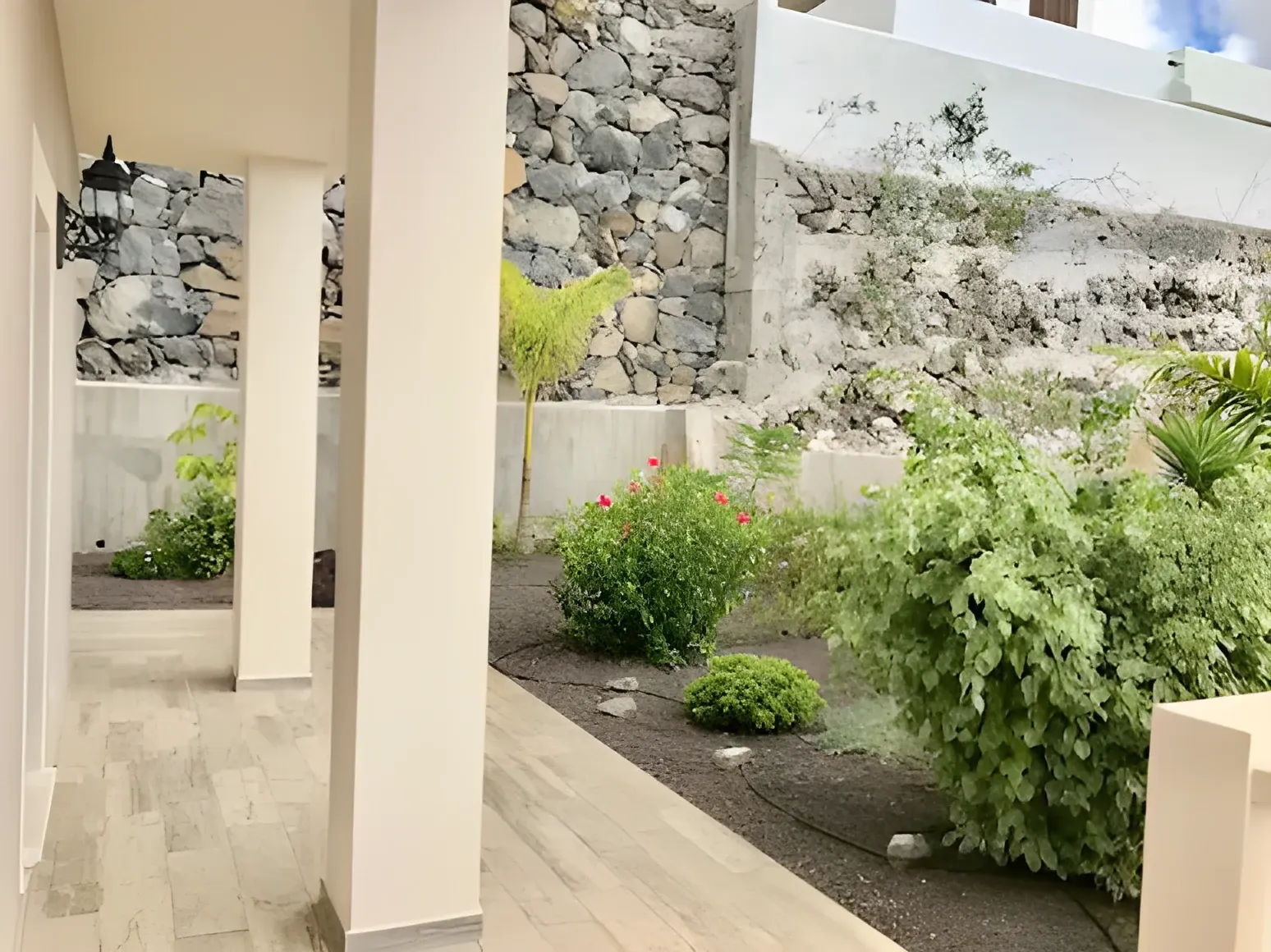 Jardín lateral con muro de piedra volcánica y plantas