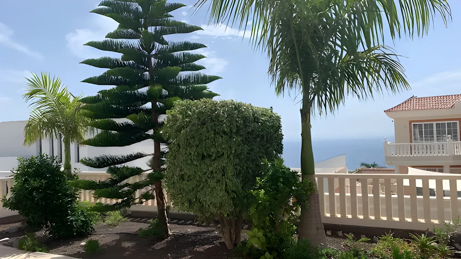 Jardín con palmeras y pinos canarios sobre el océano Atlántico